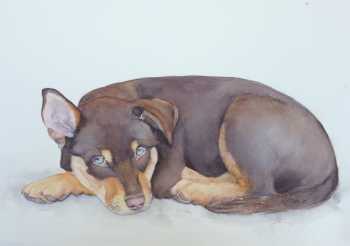 Rathjens Pup